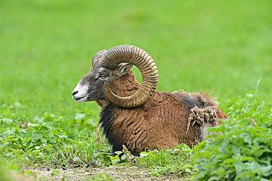 《赛博朋克2077》续作《赛博朋克2》将有在线多人模式